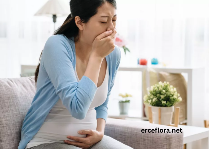 is erceflora good for vomiting