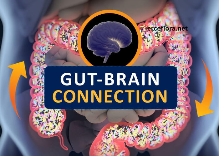 Understanding Digestive Health: Giving Your Gut the Attention It Needs